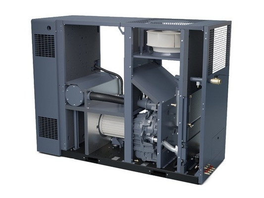 Atlas ZR37-55VSD Ölfreier Schraubluftkompressor für Produktsicherheit und -zuverlässigkeit